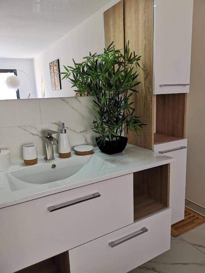 Studio Cocooning Banyuls-dels-Aspres Bagian luar foto